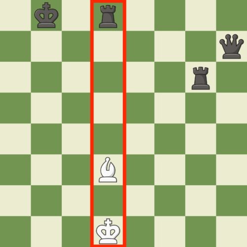 Absolute pin in chess